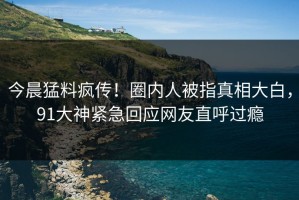 今晨猛料疯传！圈内人被指真相大白，91大神紧急回应网友直呼过瘾