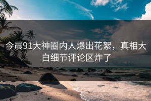 今晨91大神圈内人爆出花絮，真相大白细节评论区炸了