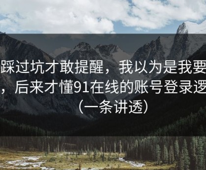 我踩过坑才敢提醒，我以为是我要求高，后来才懂91在线的账号登录逻辑（一条讲透）