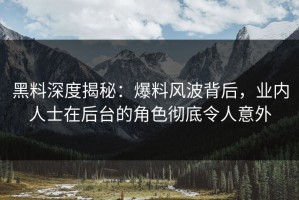 黑料深度揭秘：爆料风波背后，业内人士在后台的角色彻底令人意外